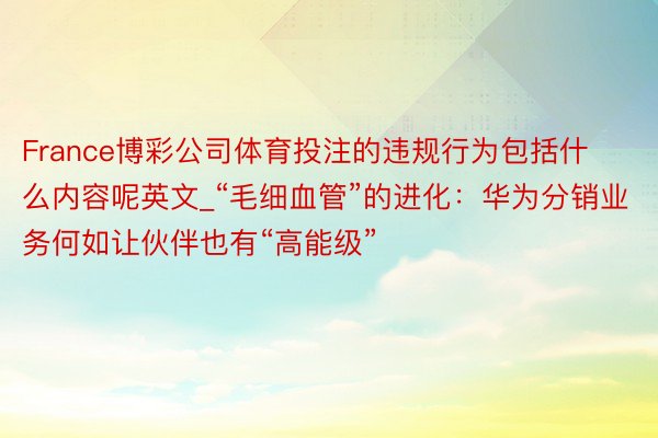 France博彩公司体育投注的违规行为包括什么内容呢英文_“毛细血管”的进化：华为分销业务何如让伙伴也有“高能级”